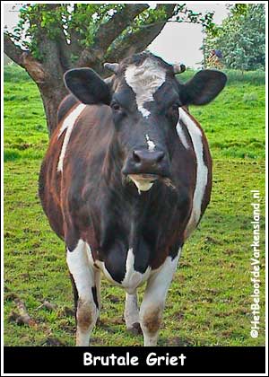 Brutale Griet
