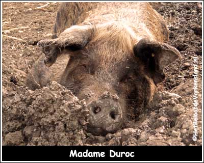 Madame Duroc