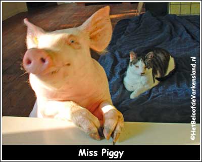 Miss Piggy