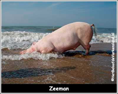 Zeeman