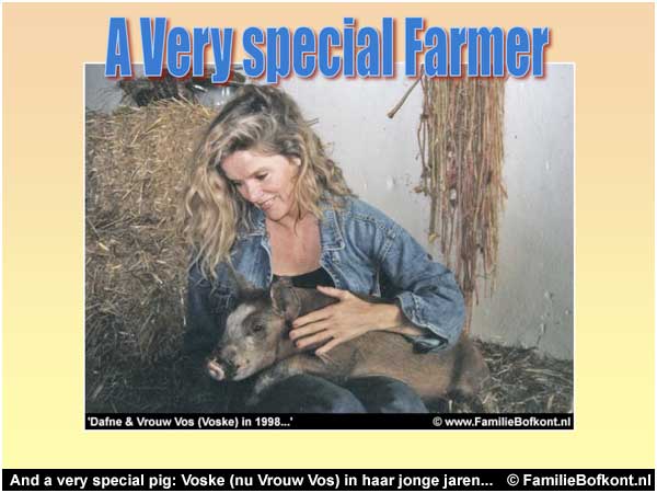 And a very special pig: Voske (nu Vrouw Vos) in haar jonge jaren...