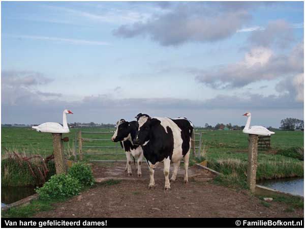 Brutale Griet & Rosamunde
