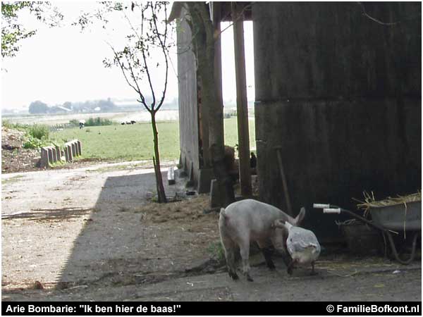 Repelsteeltje en Arie Bombarie