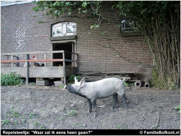 Repelsteeltje op onderzoek