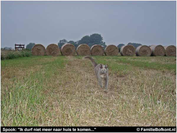 Spook: Ik durf niet meer naar huis te komen...