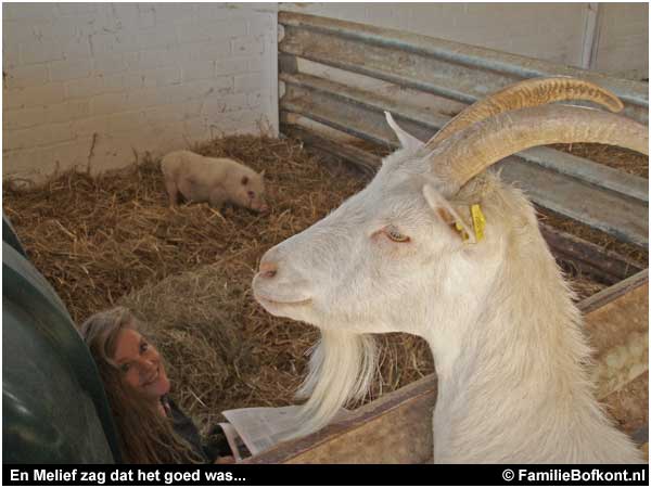 En Melief zag dat het goed was...