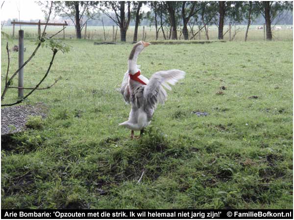 Arie Bombarie: 'Opzouten met die strik. Ik wil helemaal niet jarig zijn!'