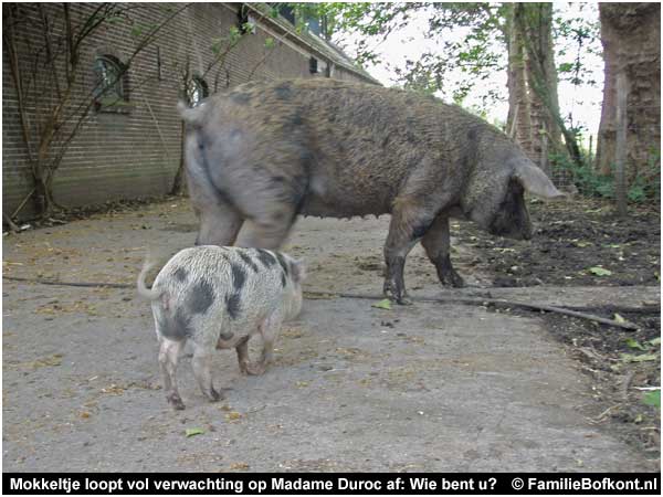 Mokkeltje loopt vol verwachting op Madame Duroc af: Wie bent u?