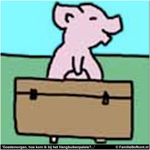 'Goedemorgen, hoe kom ik bij het Hangbuikenpaleis?...'