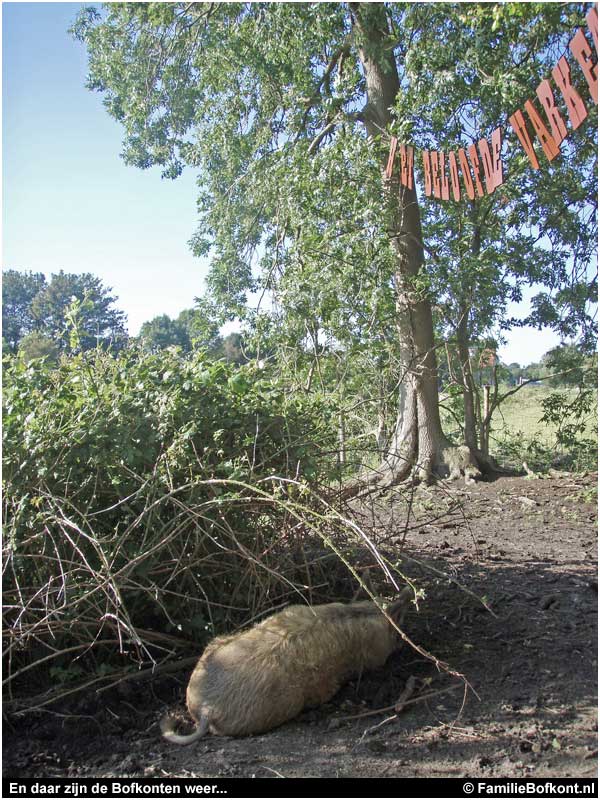  En daar zijn de Bofkonten weer...
