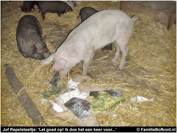 Juf Repelsteeltje: 'Let goed op! Ik doe het een keer voor...'