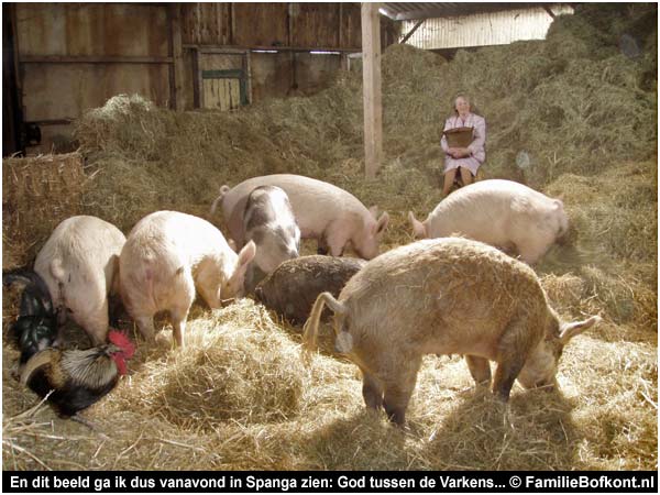 En dit beeld ga ik dus vanavond in Spanga zien: God tussen de Varkens...