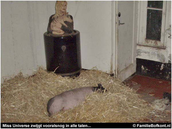 Miss Universe zwijgt vooralsnog in alle talen...