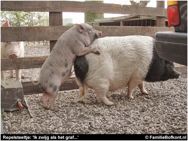 Repelsteeltje: 'Ik zwijg als het graf...'