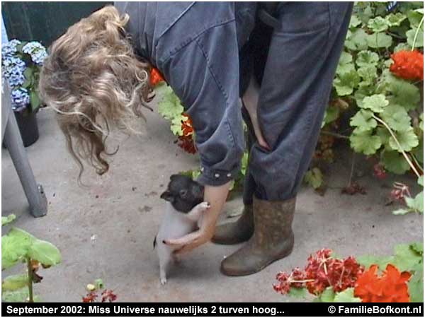 September 2002: Miss Universe nauwelijks 2 turven hoog...