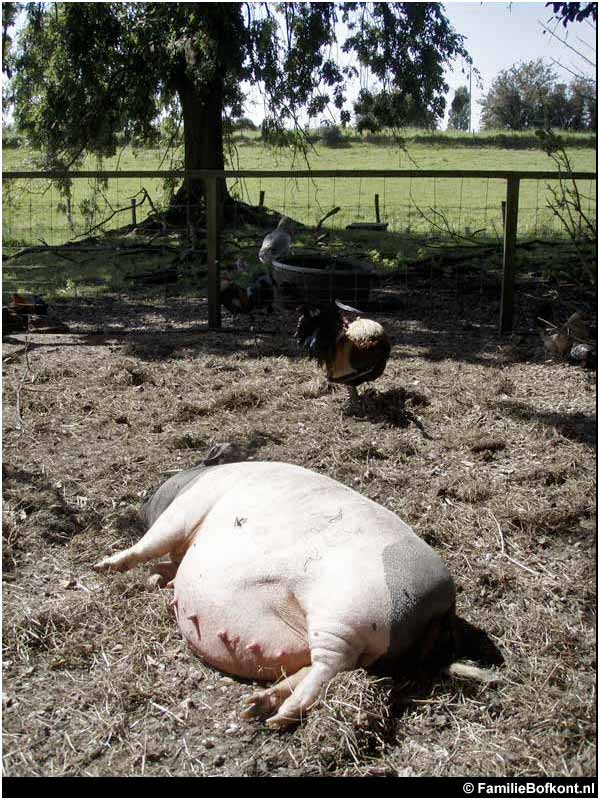 Miss Universe september 2002