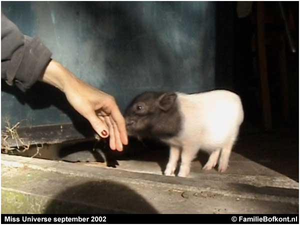 Miss Universe september 2002