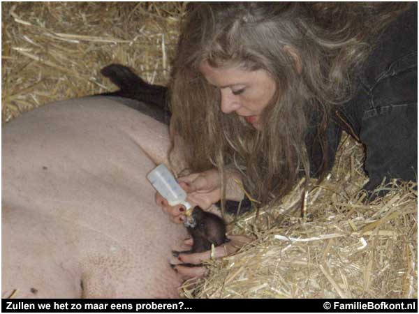 Zullen we het zo maar eens proberen?...