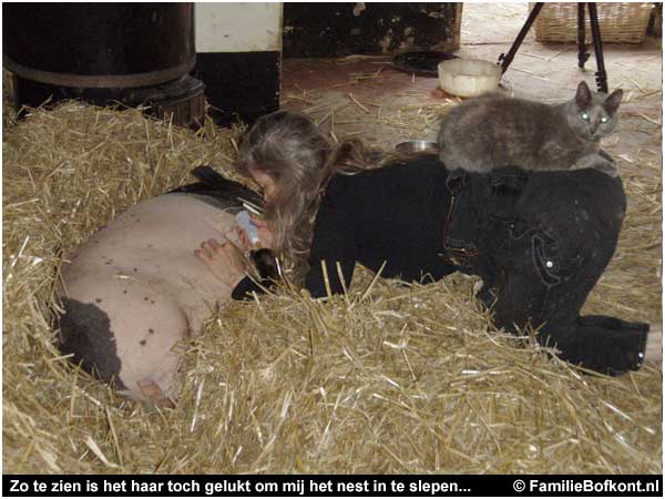 Zo te zien is het haar toch gelukt om mij het nest in te slepen...