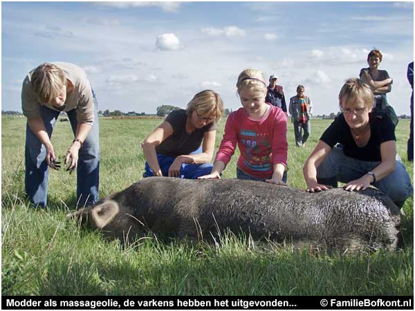 Modder als massageolie, de varkens hebben het uitgevonden...