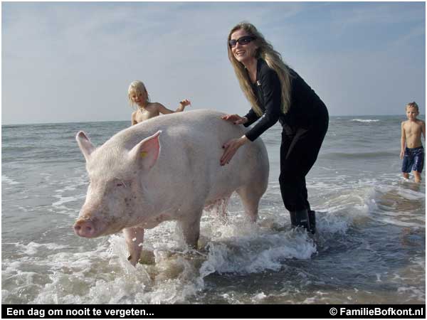 Een dag om nooit te vergeten..    .