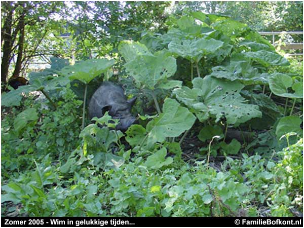 Zomer 2005: Wim in gelukkige tijden...