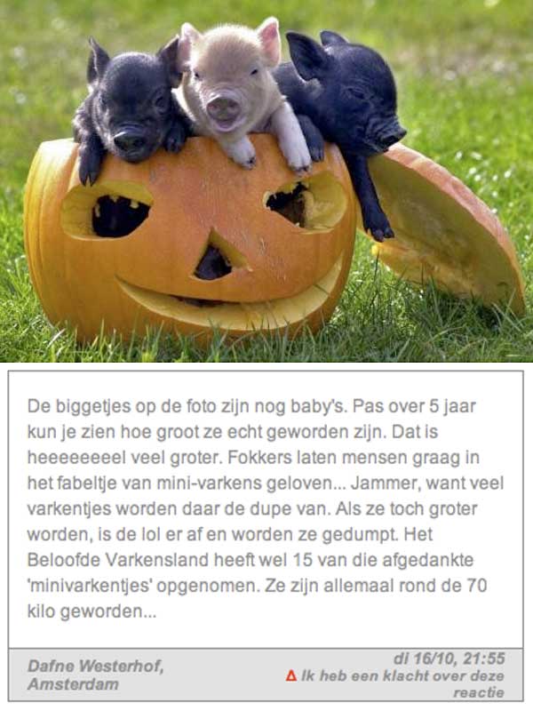 Minivarkens fabeltje