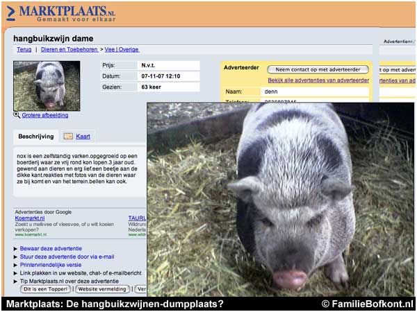 Marktplaats: De hangbuikzwijnen-dumpplaats?